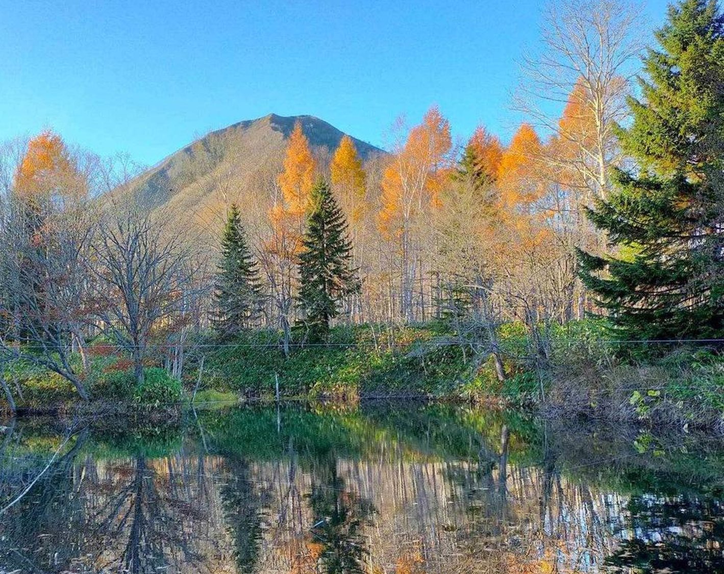 Lake View Area